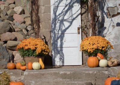 SunflowerHill-Silo-Fall-Wedding
