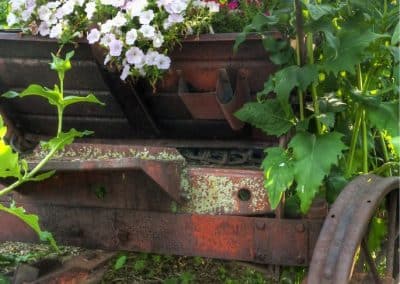 WI-Wedding-Rustic-SunflowerHill