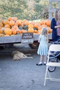 WI-Wedding-SunflowerHill-Country-Chic-Pumpkins-Gift
