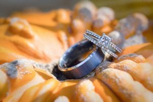 WI-Wedding-SunflowerHill-Pumpkin-Photography-Engagement-Rings