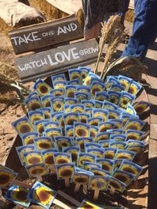 WI-Wedding-Sunflowers-SunflowerHill-Ceremony